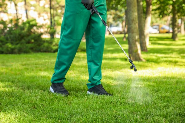 West Palm Beach Lawn Treatment